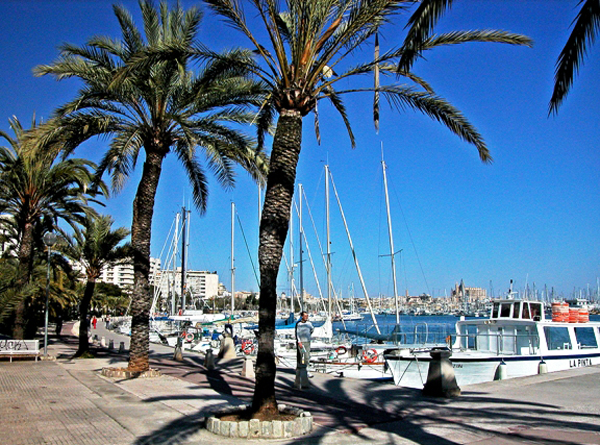 Der wunderschöne Hafen von Palma