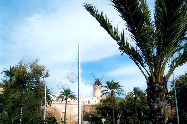 Einer der für Mallorca typischen Windmühlen