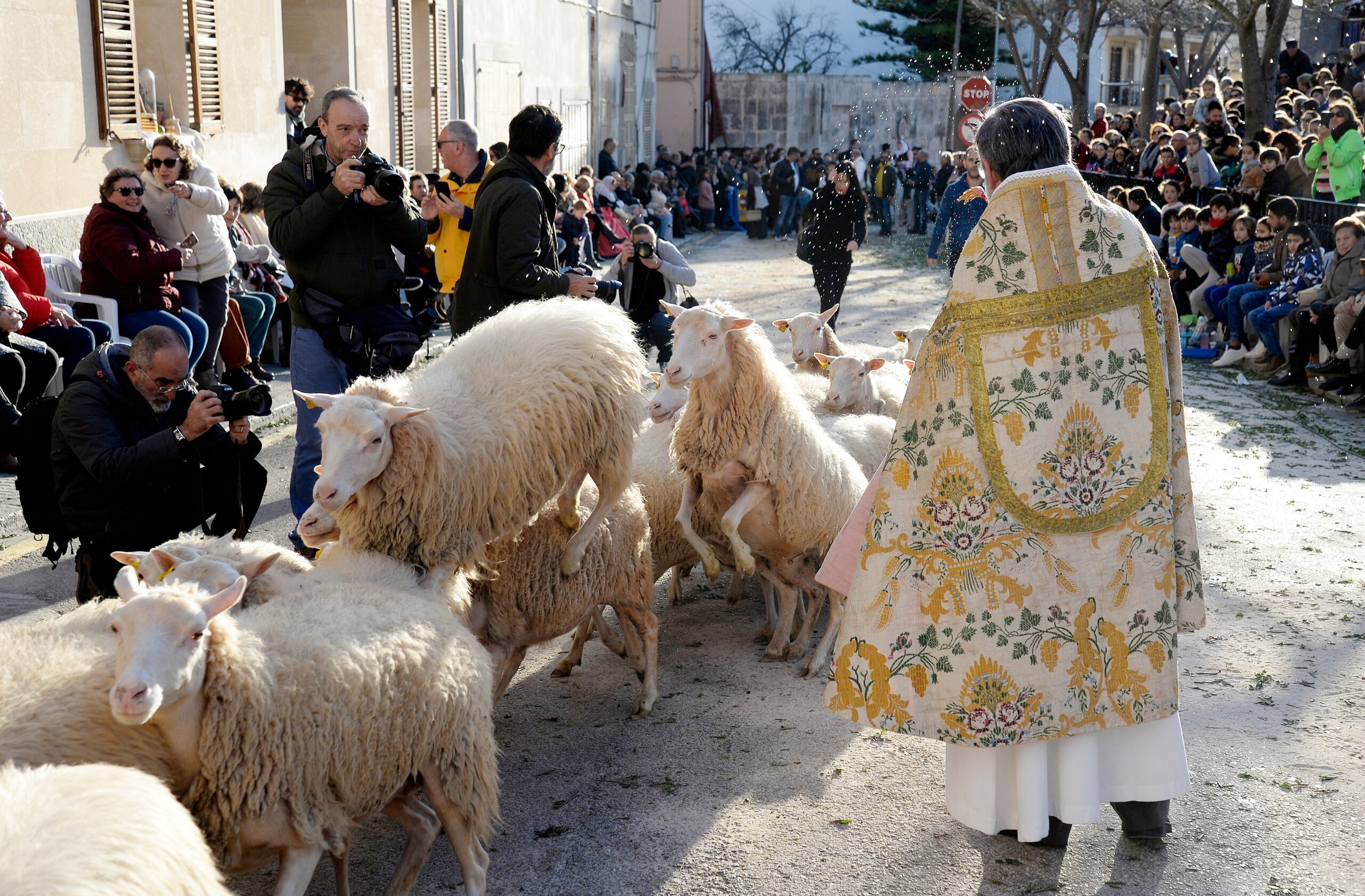 Die Tierweihe zu Sant Antoni ist ein Spektakel für Jung und Alt