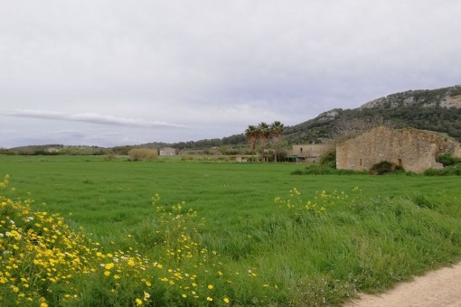 Das Grundstück befindet sich zischen den Dörfern Sineu und Sant Joan