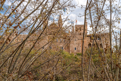 Blick zur Kathedrale