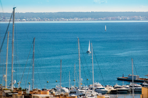 Stadthaus mit Dachterrasse mit Blick bis zur Kathedrale in Palma