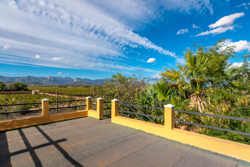 Dachterrasse mit Weitblick