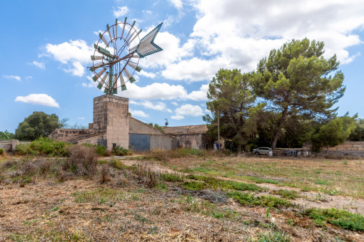 Grosszügiges Grundstück mit einer Windmühle