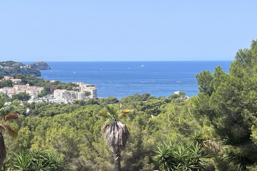 Wunderschönes Grundstück mit spektakulärem Meerblick in einer sehr ruhigen Gegend in Costa de la Calma