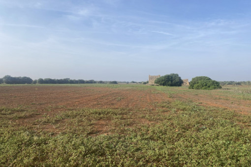 Ländliches Baugrundstück mit Baugenehmigung und herrlichen Weitblick nahe Campos