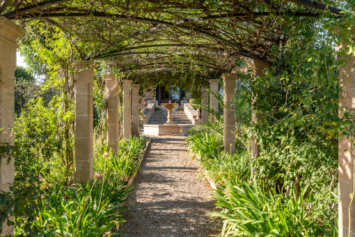 Begrünter Weg im Garten