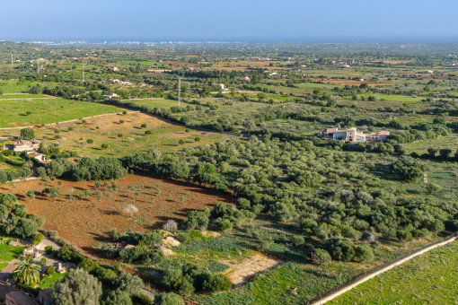 Traumgrundstück mit Meerblick und bereits genehmigtem Bauprojekt für eine Finca mit Pool in Sa Marineta