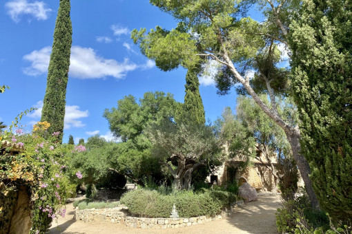 Gepflegter Garten mit altem Baumbestand