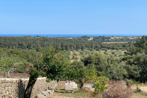 Traumhaftes Grundstück mit Meerblick und Baugenehmigung oberhalb von Cala Murada