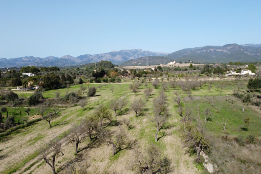 Grundstück mit Sicht auf das Tramuntana Gebirge