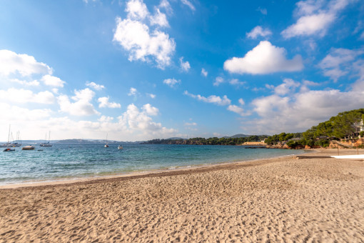 Strand in der Nähe 