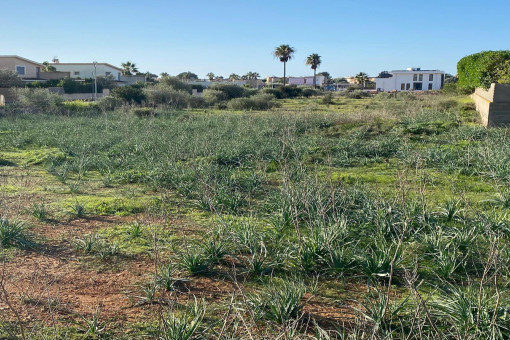 Sonniges Eckgrundstück mit Basisprojekt für ein Einfamilienhaus in Sa Rápita